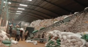 Bag Stacker Conveyor