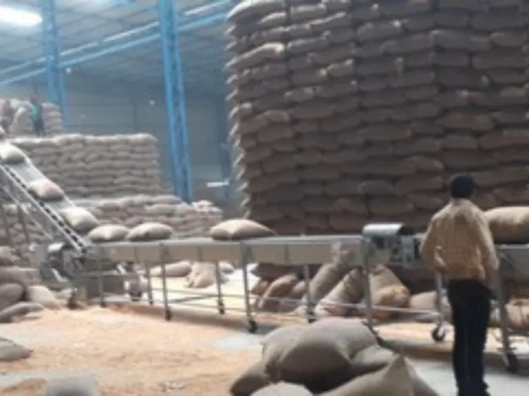 Bag Stacking Conveyors