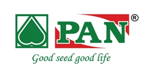 Pan seeds