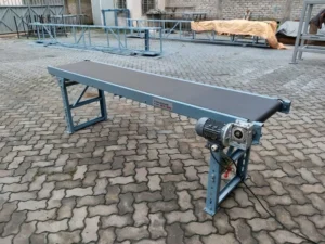 Printing Conveyor